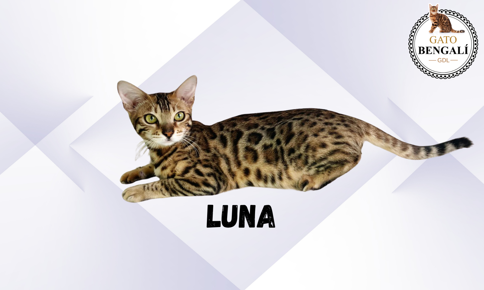 Luna2