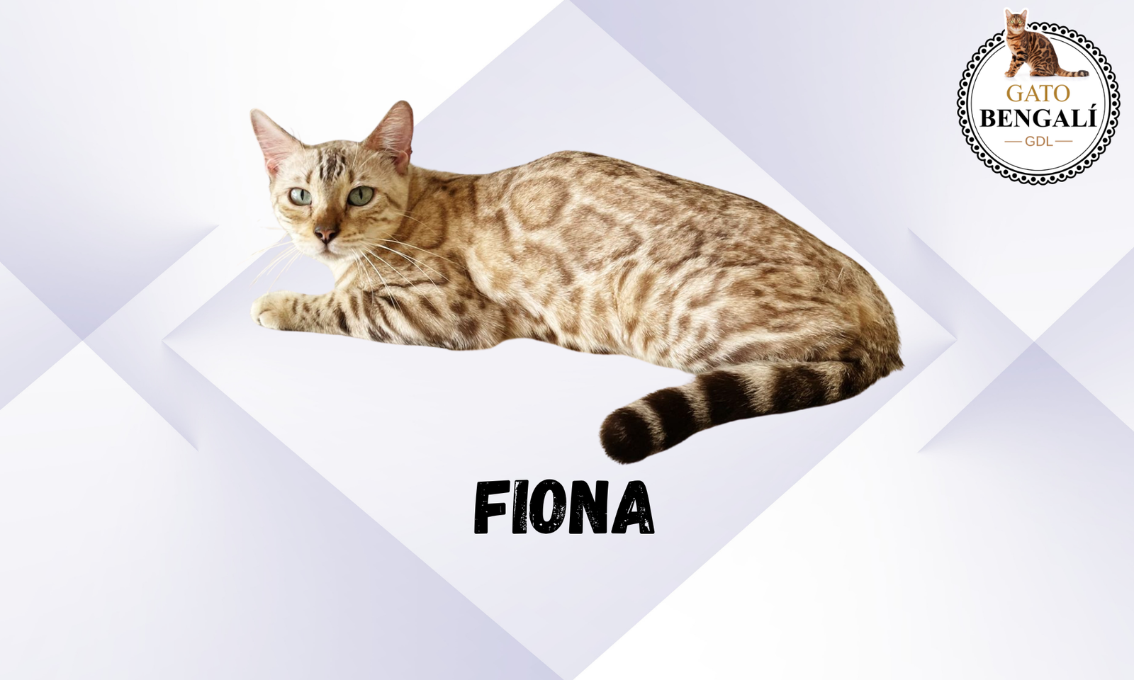 ffiona