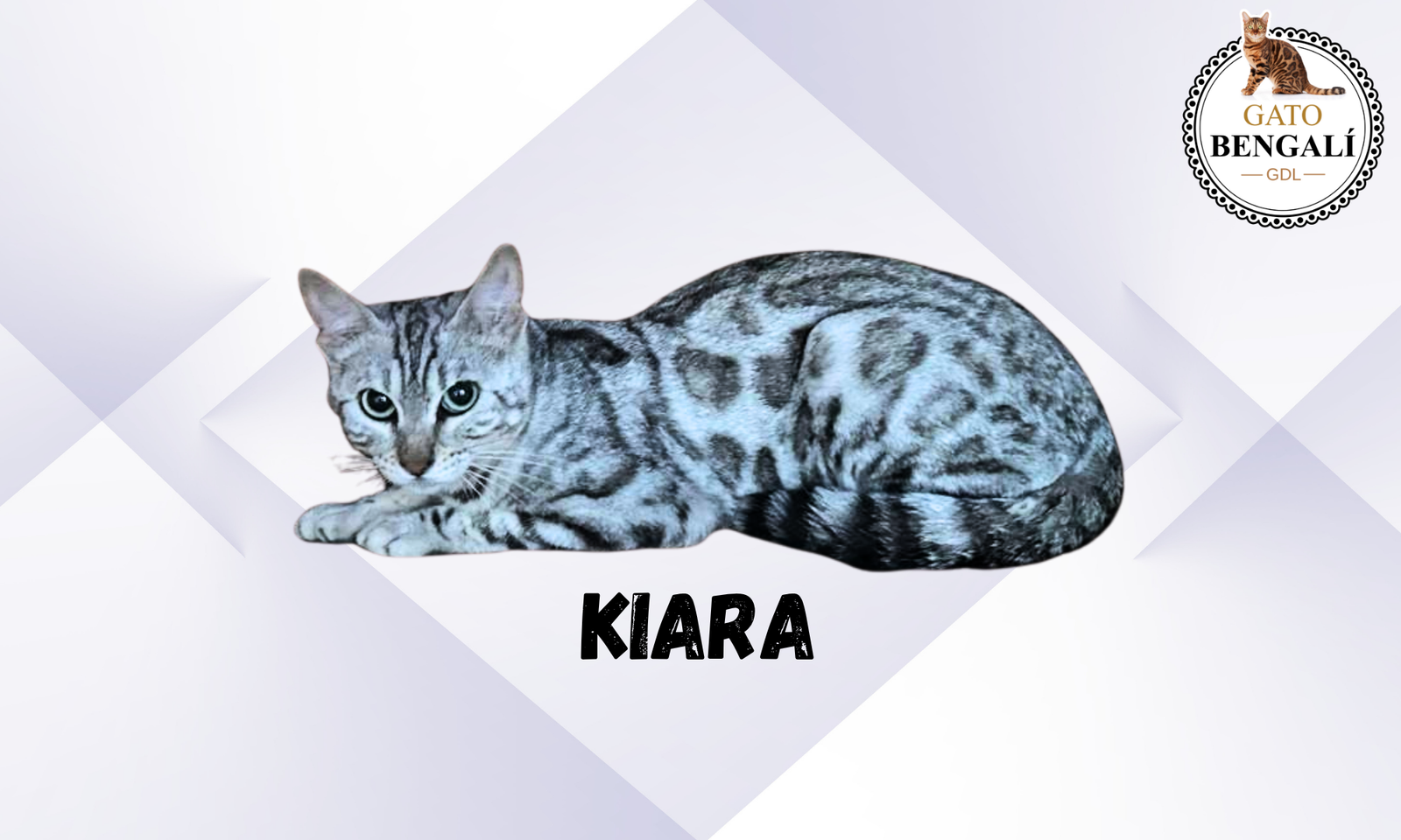 kiara