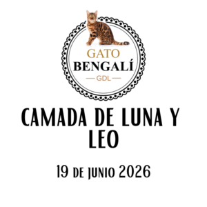 1. Camada de Luna y Leo